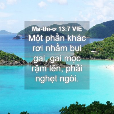 Picture 04 - Ma-thi-ơ 13:7 VIE - Một phần khác rơi nhằm bụi gai, gai - Bible Verse Picture