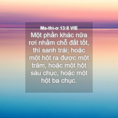 Picture 04 - Ma-thi-ơ 13:8 VIE - Một phần khác nữa rơi nhằm chỗ đất - Bible Verse Picture