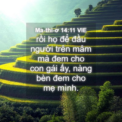 Picture 04 - Ma-thi-ơ 14:11 VIE - rồi họ để đầu người trên mâm mà - Bible Verse Picture
