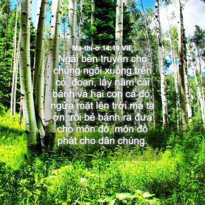Picture 04 - Ma-thi-ơ 14:19 VIE - Ngài bèn truyền cho chúng ngồi xuống - Bible Verse Picture