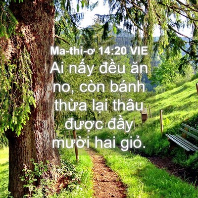 Picture 04 - Ma-thi-ơ 14:20 VIE - Ai nấy đều ăn no, còn bánh thừa lại - Bible Verse Picture