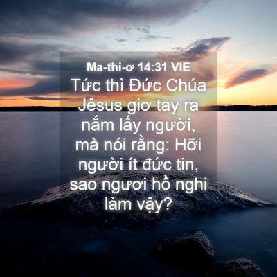 Picture 04 - Ma-thi-ơ 14:31 VIE - Tức thì Đức Chúa Jêsus giơ tay ra nắm - Bible Verse Picture