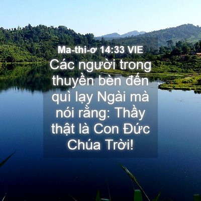 Picture 04 - Ma-thi-ơ 14:33 VIE - Các người trong thuyền bèn đến quì - Bible Verse Picture