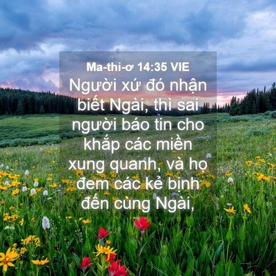 Picture 04 - Ma-thi-ơ 14:35 VIE - Người xứ đó nhận biết Ngài, thì sai - Bible Verse Picture