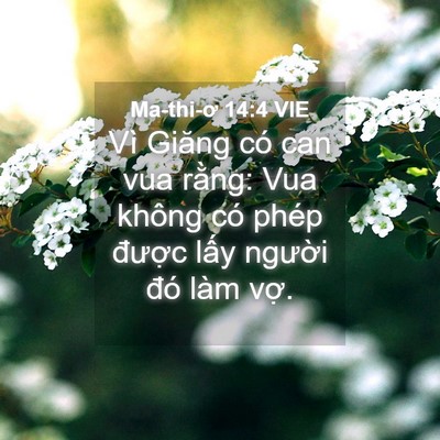 Picture 04 - Ma-thi-ơ 14:4 VIE - Vì Giăng có can vua rằng: Vua không có - Bible Verse Picture