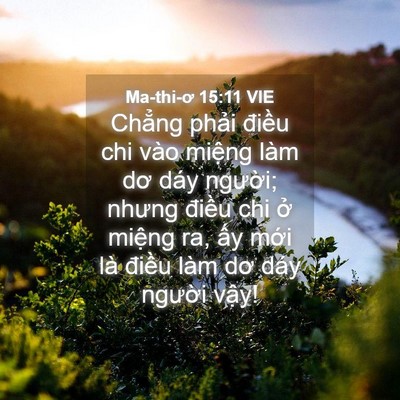 Picture 04 - Ma-thi-ơ 15:11 VIE - Chẳng phải điều chi vào miệng làm dơ - Bible Verse Picture