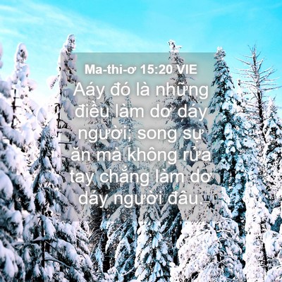 Picture 04 - Ma-thi-ơ 15:20 VIE - Aáy đó là những điều làm dơ dáy - Bible Verse Picture