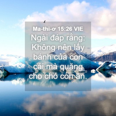Picture 04 - Ma-thi-ơ 15:26 VIE - Ngài đáp rằng: Không nên lấy bánh của - Bible Verse Picture