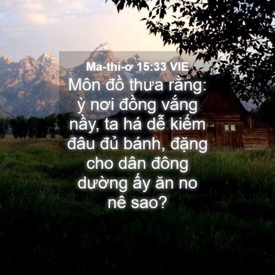 Picture 04 - Ma-thi-ơ 15:33 VIE - Môn đồ thưa rằng: ỳ nơi đồng vắng - Bible Verse Picture