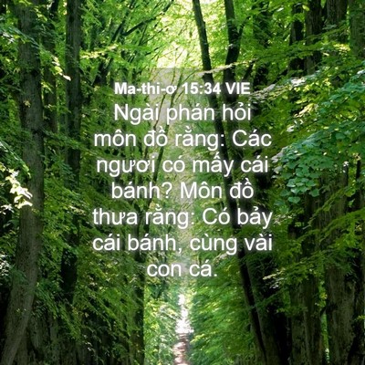 Picture 04 - Ma-thi-ơ 15:34 VIE - Ngài phán hỏi môn đồ rằng: Các ngươi - Bible Verse Picture
