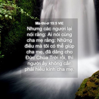 Picture 04 - Ma-thi-ơ 15:5 VIE - Nhưng các ngươi lại nói rằng: Ai nói - Bible Verse Picture