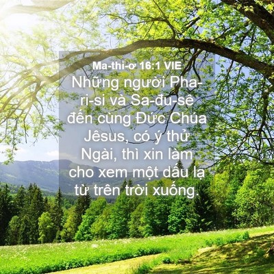 Picture 04 - Ma-thi-ơ 16:1 VIE - Những người Pha-ri-si và Sa-đu-sê đến - Bible Verse Picture