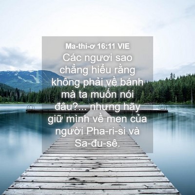 Picture 04 - Ma-thi-ơ 16:11 VIE - Các ngươi sao chẳng hiểu rằng không - Bible Verse Picture