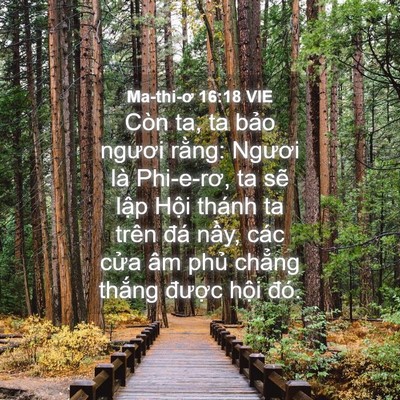 Picture 04 - Ma-thi-ơ 16:18 VIE - Còn ta, ta bảo ngươi rằng: Ngươi là - Bible Verse Picture