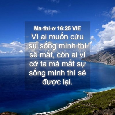 Picture 04 - Ma-thi-ơ 16:25 VIE - Vì ai muốn cứu sự sống mình thì sẽ - Bible Verse Picture