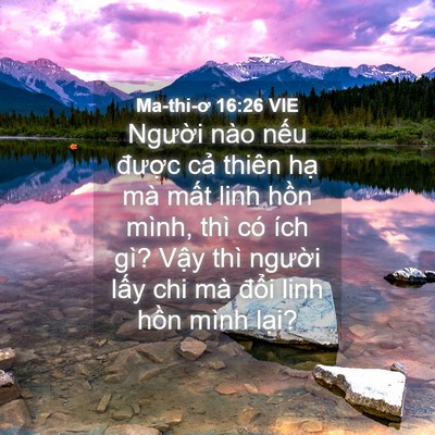 Picture 04 - Ma-thi-ơ 16:26 VIE - Người nào nếu được cả thiên hạ mà - Bible Verse Picture