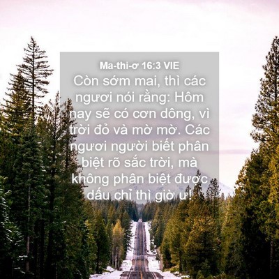 Picture 04 - Ma-thi-ơ 16:3 VIE - Còn sớm mai, thì các ngươi nói rằng: - Bible Verse Picture