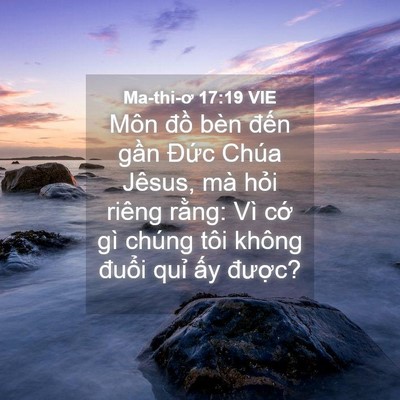 Picture 04 - Ma-thi-ơ 17:19 VIE - Môn đồ bèn đến gần Đức Chúa Jêsus, - Bible Verse Picture