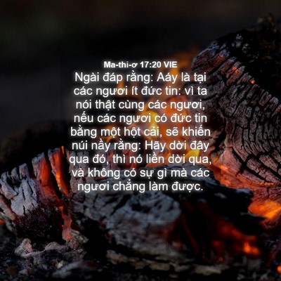 Picture 04 - Ma-thi-ơ 17:20 VIE - Ngài đáp rằng: Aáy là tại các ngươi - Bible Verse Picture