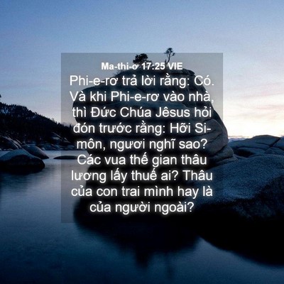 Picture 04 - Ma-thi-ơ 17:25 VIE - Phi-e-rơ trả lời rằng: Có. Và khi - Bible Verse Picture