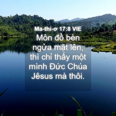 Picture 04 - Ma-thi-ơ 17:8 VIE - Môn đồ bèn ngửa mặt lên, thì chỉ - Bible Verse Picture