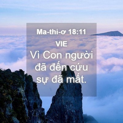 Picture 04 - Ma-thi-ơ 18:11 VIE - Vì Con người đã đến cứu sự đã - Bible Verse Picture