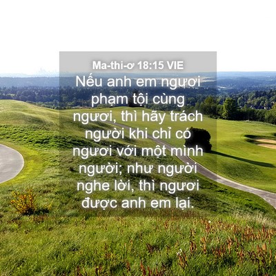 Picture 04 - Ma-thi-ơ 18:15 VIE - Nếu anh em ngươi phạm tội cùng ngươi, - Bible Verse Picture
