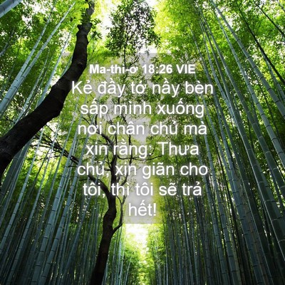 Picture 04 - Ma-thi-ơ 18:26 VIE - Kẻ đầy tớ nầy bèn sấp mình xuống - Bible Verse Picture