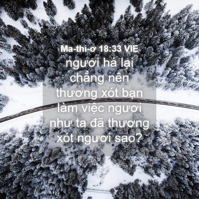 Picture 04 - Ma-thi-ơ 18:33 VIE - ngươi há lại chẳng nên thương xót - Bible Verse Picture