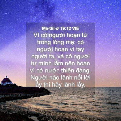 Picture 04 - Ma-thi-ơ 19:12 VIE - Vì có người hoạn từ trong lòng mẹ; - Bible Verse Picture