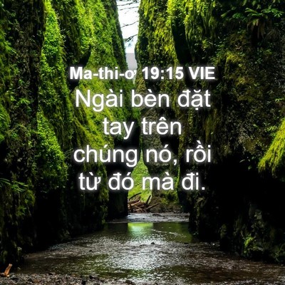 Picture 04 - Ma-thi-ơ 19:15 VIE - Ngài bèn đặt tay trên chúng nó, rồi - Bible Verse Picture