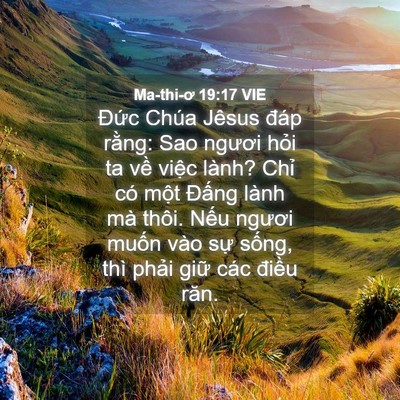 Picture 04 - Ma-thi-ơ 19:17 VIE - Đức Chúa Jêsus đáp rằng: Sao ngươi - Bible Verse Picture
