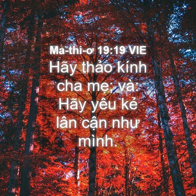 Picture 04 - Ma-thi-ơ 19:19 VIE - Hãy thảo kính cha mẹ; và: Hãy yêu kẻ - Bible Verse Picture