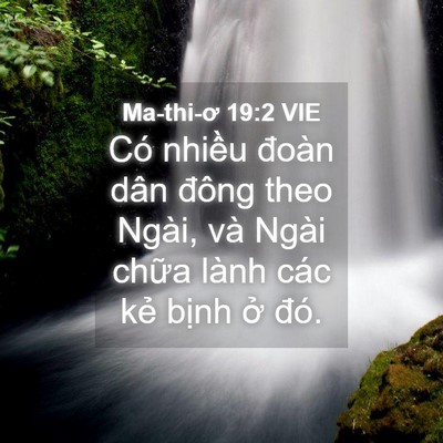 Picture 04 - Ma-thi-ơ 19:2 VIE - Có nhiều đoàn dân đông theo Ngài, và - Bible Verse Picture