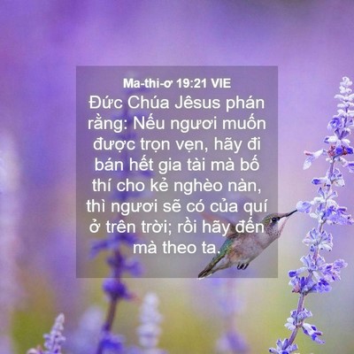 Picture 04 - Ma-thi-ơ 19:21 VIE - Đức Chúa Jêsus phán rằng: Nếu ngươi - Bible Verse Picture