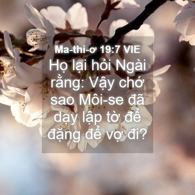 Picture 04 - Ma-thi-ơ 19:7 VIE - Họ lại hỏi Ngài rằng: Vậy chớ sao - Bible Verse Picture