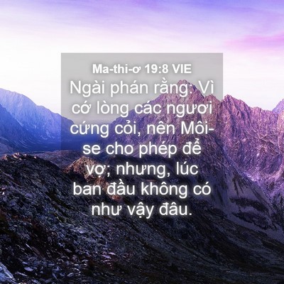 Picture 04 - Ma-thi-ơ 19:8 VIE - Ngài phán rằng: Vì cớ lòng các ngươi - Bible Verse Picture