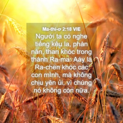 Picture 04 - Ma-thi-ơ 2:18 VIE - Người ta có nghe tiếng kêu la, phàn nàn, - Bible Verse Picture