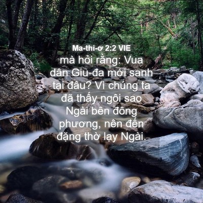 Picture 04 - Ma-thi-ơ 2:2 VIE - mà hỏi rằng: Vua dân Giu-đa mới sanh - Bible Verse Picture