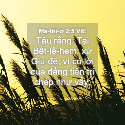 Picture 04 - Ma-thi-ơ 2:5 VIE - Tâu rằng: Tại Bết-lê-hem, xứ Giu-đê; - Bible Verse Picture