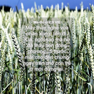 Picture 04 - Ma-thi-ơ 2:9 VIE - Mấy thầy nghe vua phán xong, liền đi. - Bible Verse Picture