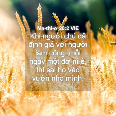 Picture 04 - Ma-thi-ơ 20:2 VIE - Khi người chủ đã định giá với - Bible Verse Picture