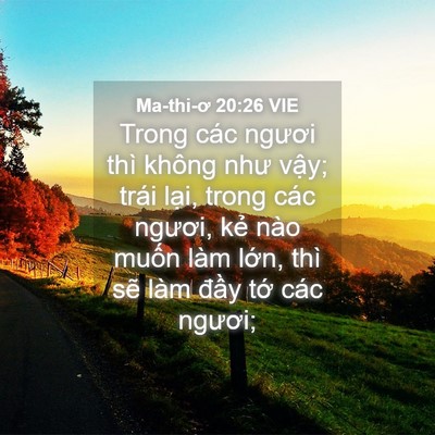 Picture 04 - Ma-thi-ơ 20:26 VIE - Trong các ngươi thì không như vậy; trái - Bible Verse Picture
