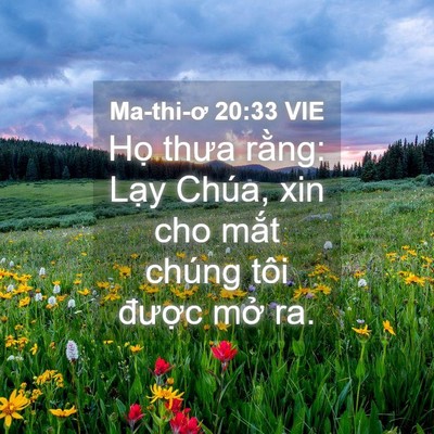 Picture 04 - Ma-thi-ơ 20:33 VIE - Họ thưa rằng: Lạy Chúa, xin cho mắt - Bible Verse Picture