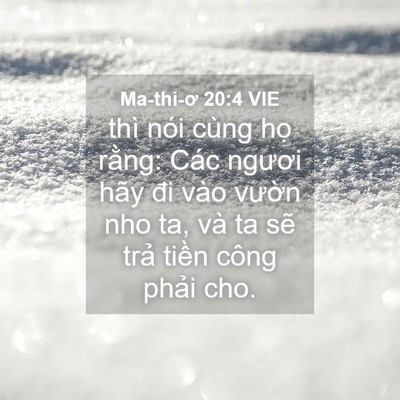Picture 04 - Ma-thi-ơ 20:4 VIE - thì nói cùng họ rằng: Các ngươi hãy - Bible Verse Picture