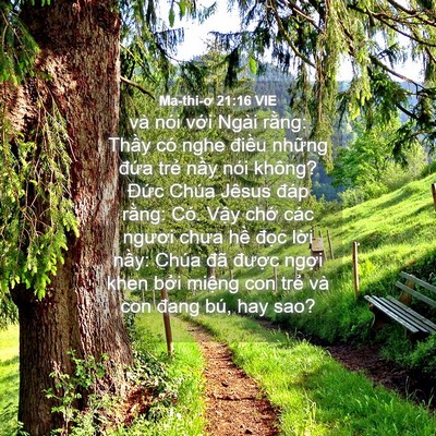 Picture 04 - Ma-thi-ơ 21:16 VIE - và nói với Ngài rằng: Thầy có nghe - Bible Verse Picture