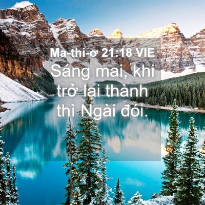Picture 04 - Ma-thi-ơ 21:18 VIE - Sáng mai, khi trở lại thành thì Ngài - Bible Verse Picture