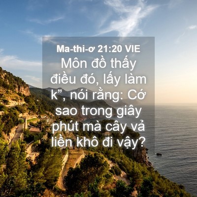 Picture 04 - Ma-thi-ơ 21:20 VIE - Môn đồ thấy điều đó, lấy làm k”, - Bible Verse Picture