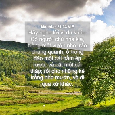 Picture 04 - Ma-thi-ơ 21:33 VIE - Hãy nghe lời ví dụ khác. Có người - Bible Verse Picture