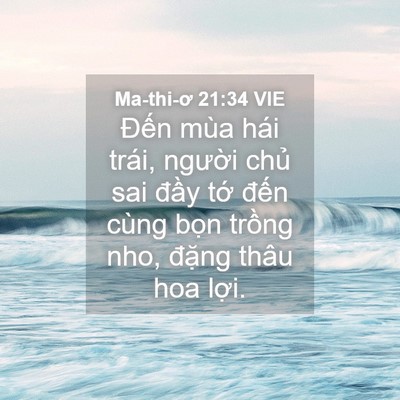 Picture 04 - Ma-thi-ơ 21:34 VIE - Đến mùa hái trái, người chủ sai đầy - Bible Verse Picture